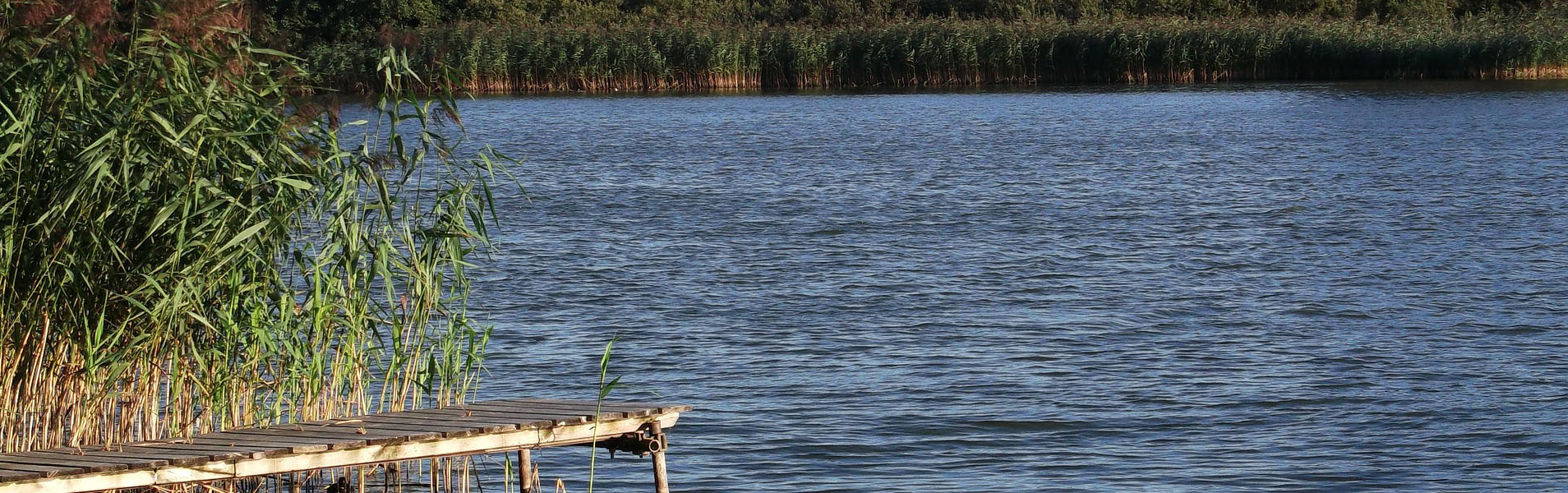 Wassersteg