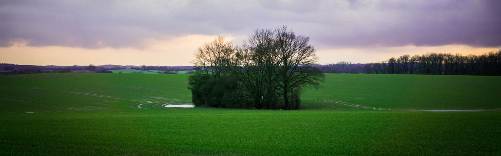 Natur pur